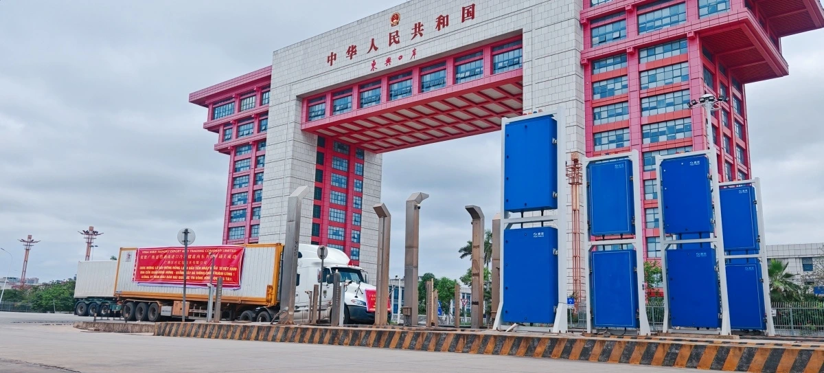 Xe tải lạnh chở 22,24 tấn sầu riêng đông lạnh từ Việt Nam nhập cảnh qua của khẩu Đông Hưng, Trung Quốc. Ảnh Nhật báo Quảng Tây
