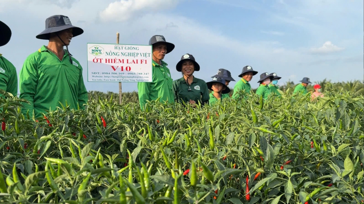 Đời sống nông dân Tiền Giang được nâng lên do phong trào thi đua tăng gia sản xuất