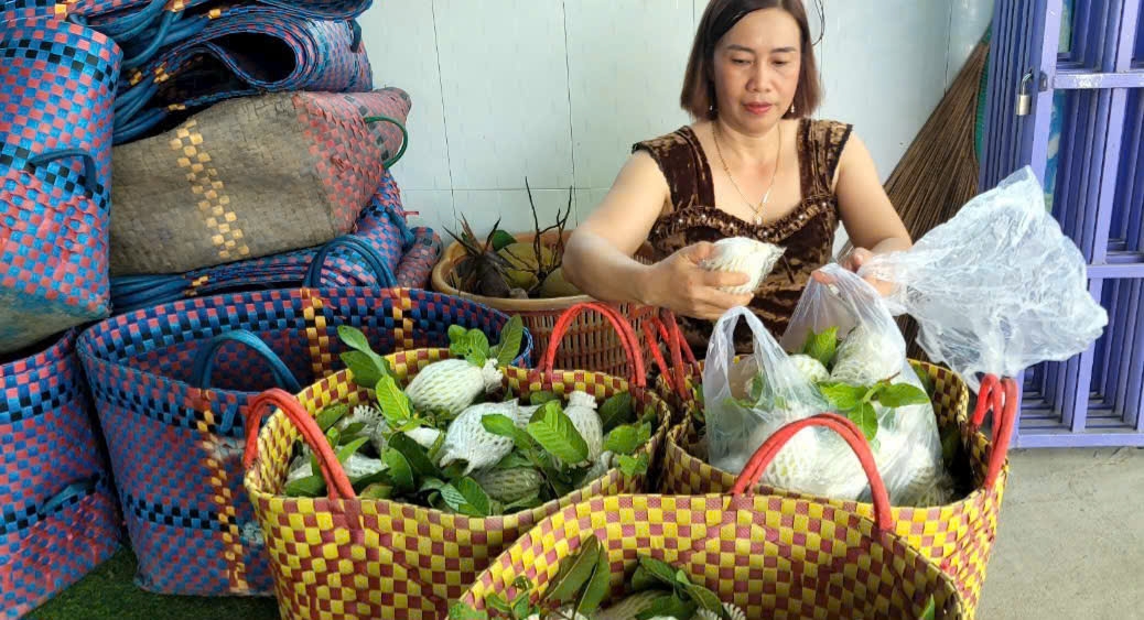 Đầu ra khó khăn, thương lái cũng hạn chế thu mua. 