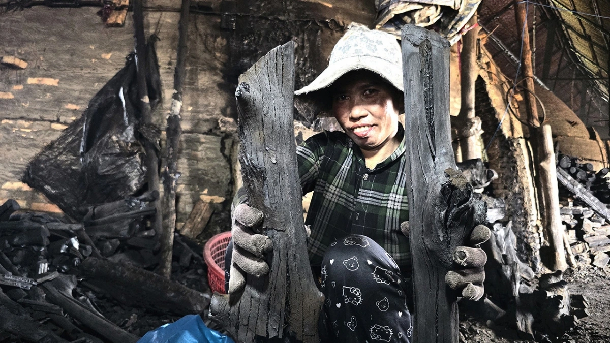 Giá than này hiện ở mức khá cao, giúp HTX và người làm nghề hầm than tại Cà Mau sống được với nghề.
 