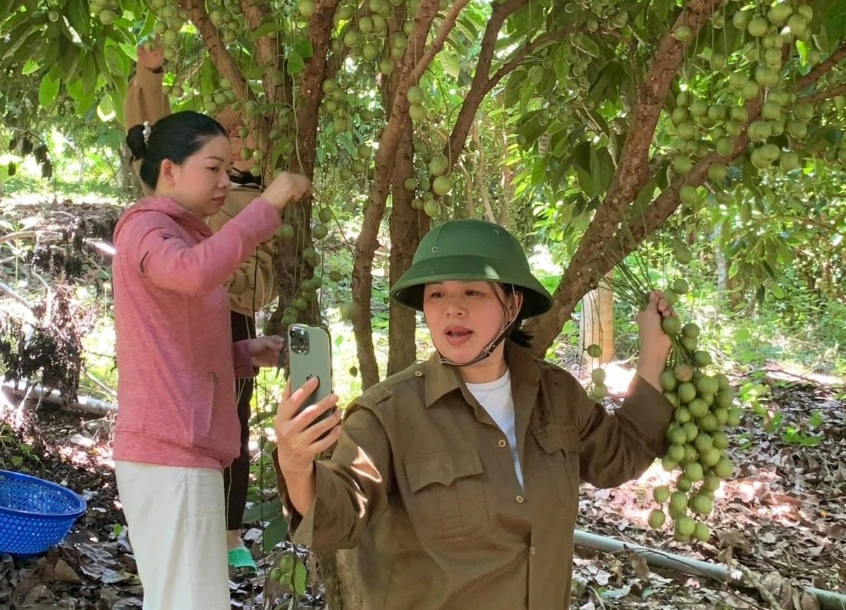 Nhiều loại nông sản của tỉnh Khánh Hòa đã được đưa lên các sàn thương mại điện tử