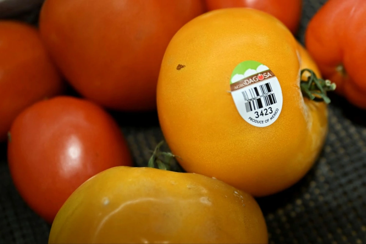 Cà chua Mỹ nhập khẩu từ Mexico (Ảnh: Reuters)
