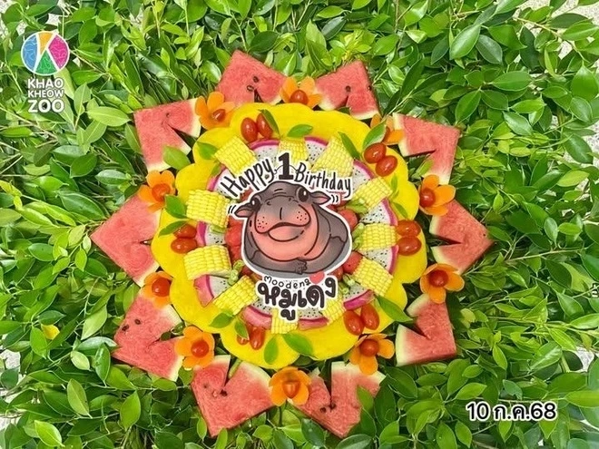 Tiệc mừng sinh nhật "ngôi sao" vườn thú Khao Kheow được tổ chức kéo dài 4 ngày. Ảnh: Khao Kheow Open Zoo.