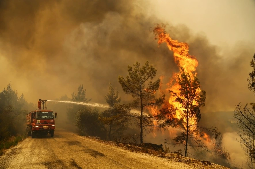 Cháy rừng Thổ Nhĩ Kỳ. Ảnh: Reuters