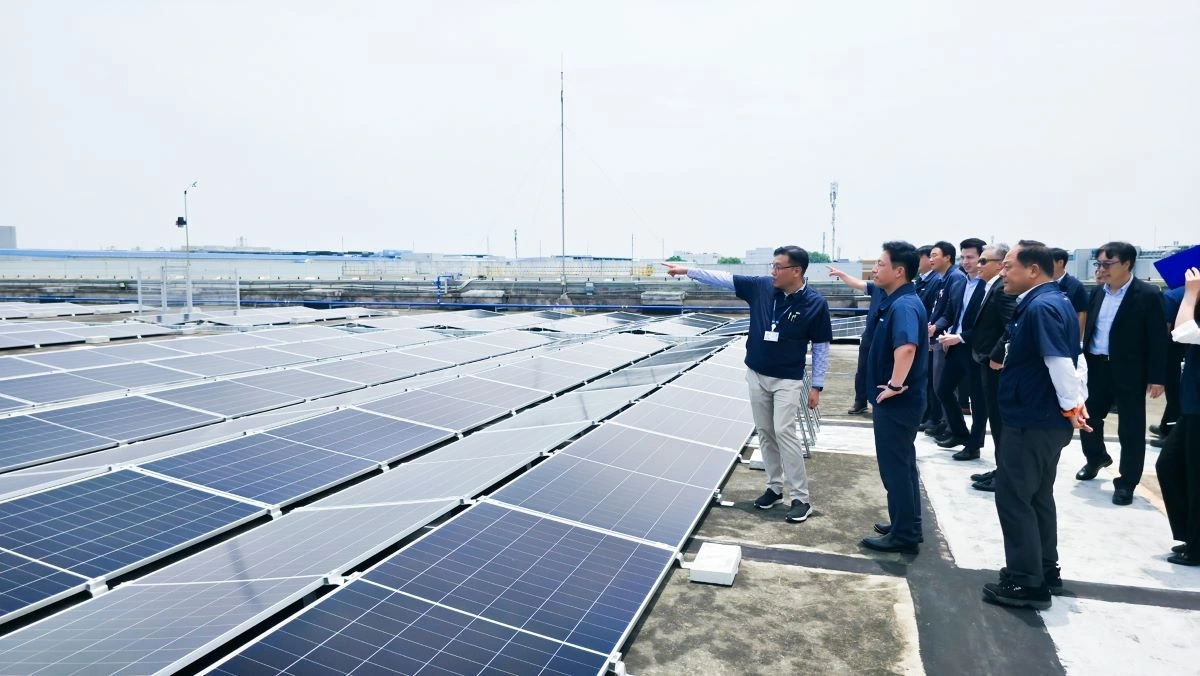 Các đại biểu tham quan hệ thống điện mặt trời áp mái tại SEV