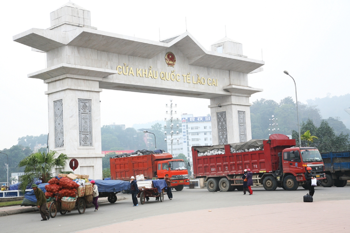 Khuyến cáo các doanh nghiệp cần chủ động rà soát toàn bộ hồ sơ xuất khẩu đã đăng ký trên CIFER