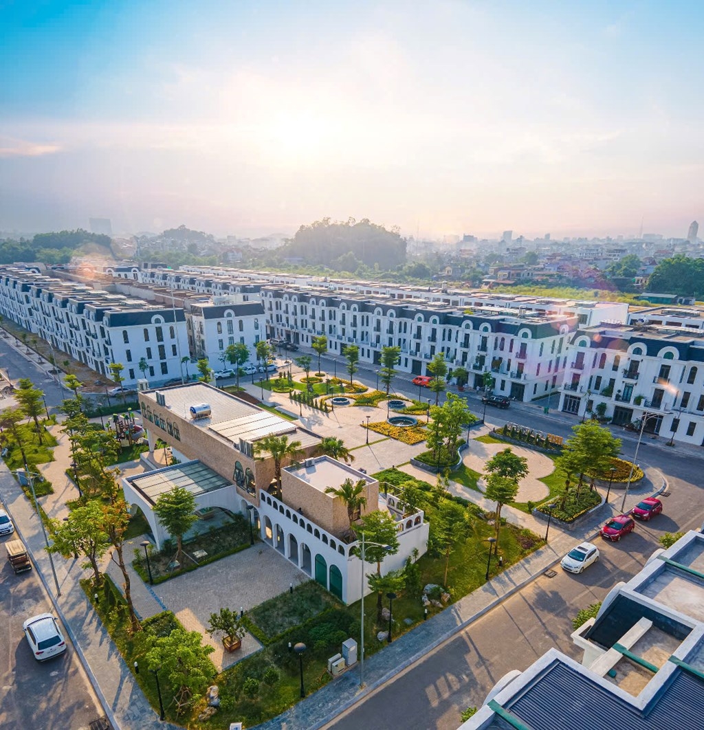 Ảnh một góc khu đô thị và Trường liên cấp của Công ty CPTM Thái Hưng (Ảnh minh họa)