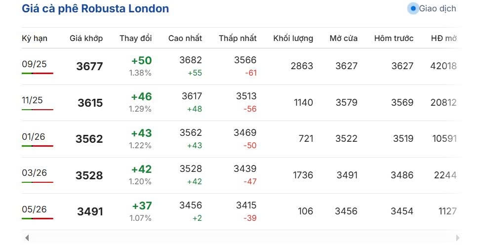 Giá cà phê Robusta hợp đồng kỳ hạn giao tháng 9/2025 trên sàn London tăng