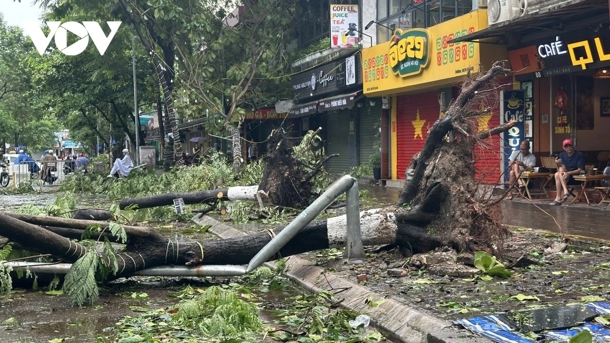(Ảnh minh họa)
