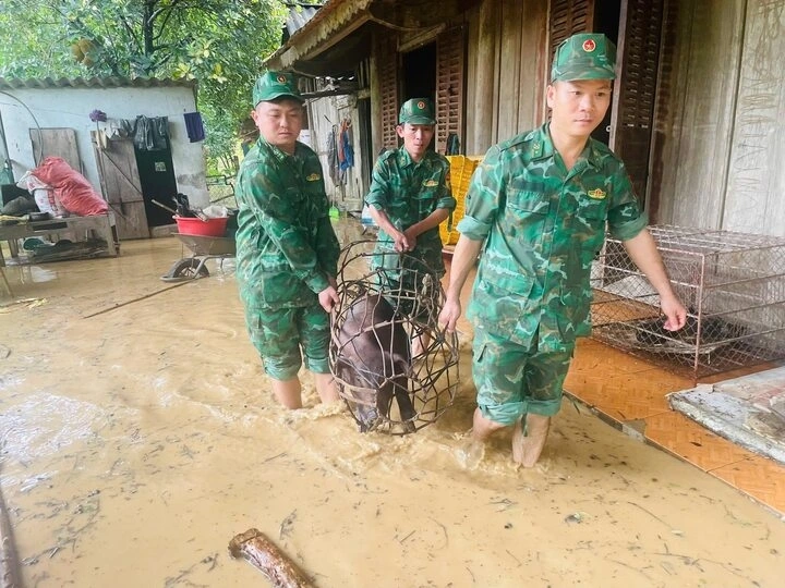Khi lũ bắt đầu tràn xuống, họ bám bản, sơ tán những hộ ở vùng nguy cơ cao.