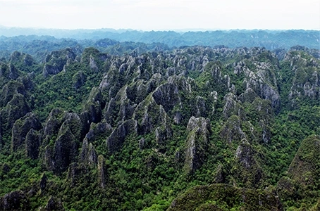 Cảnh quan Karst, phía đông nam làng Vangmaneur thuộc Vườn Quốc gia Hin Nam Nô, CHDCND Lào
(Ảnh: GIZ ProFEB / Paul Williams)