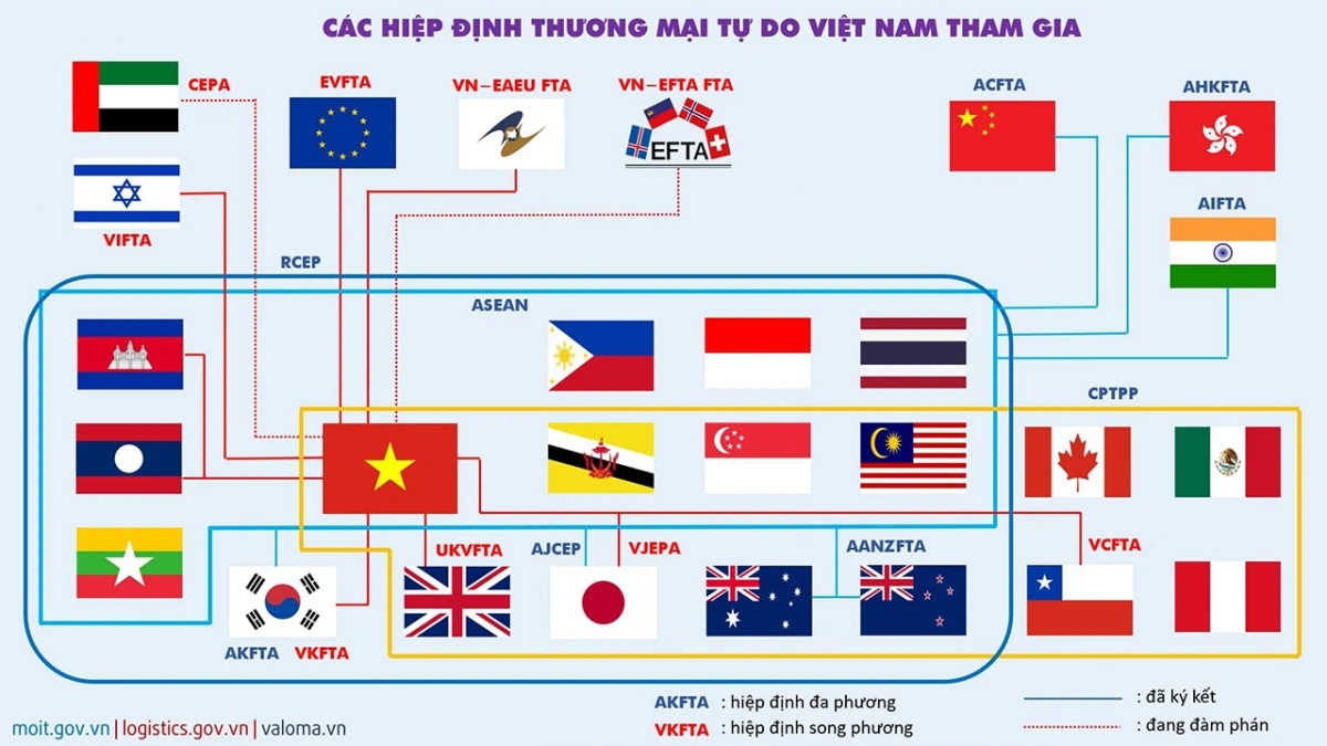 Các FTA Việt Nam đã tham gia - Ảnh: Valoma
