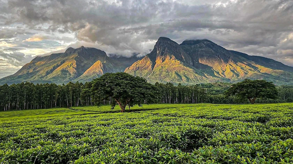 Cảnh quan văn hóa núi Mulanje ở Malwai. (Ảnh: Malawianstyle).