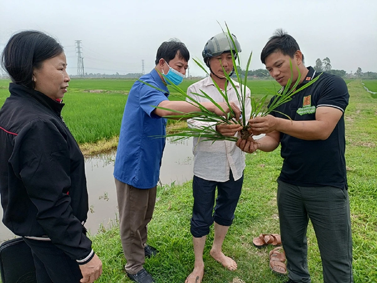 Ông Lương Văn Trường - tác giả Dự án hạt giống nảy mầm sẵn, xuất sắc giành giải nhất Cuộc thi "Dự án khởi nghiệp thanh niên nông thôn" năm 2021 (người thứ nhất từ phải sang)