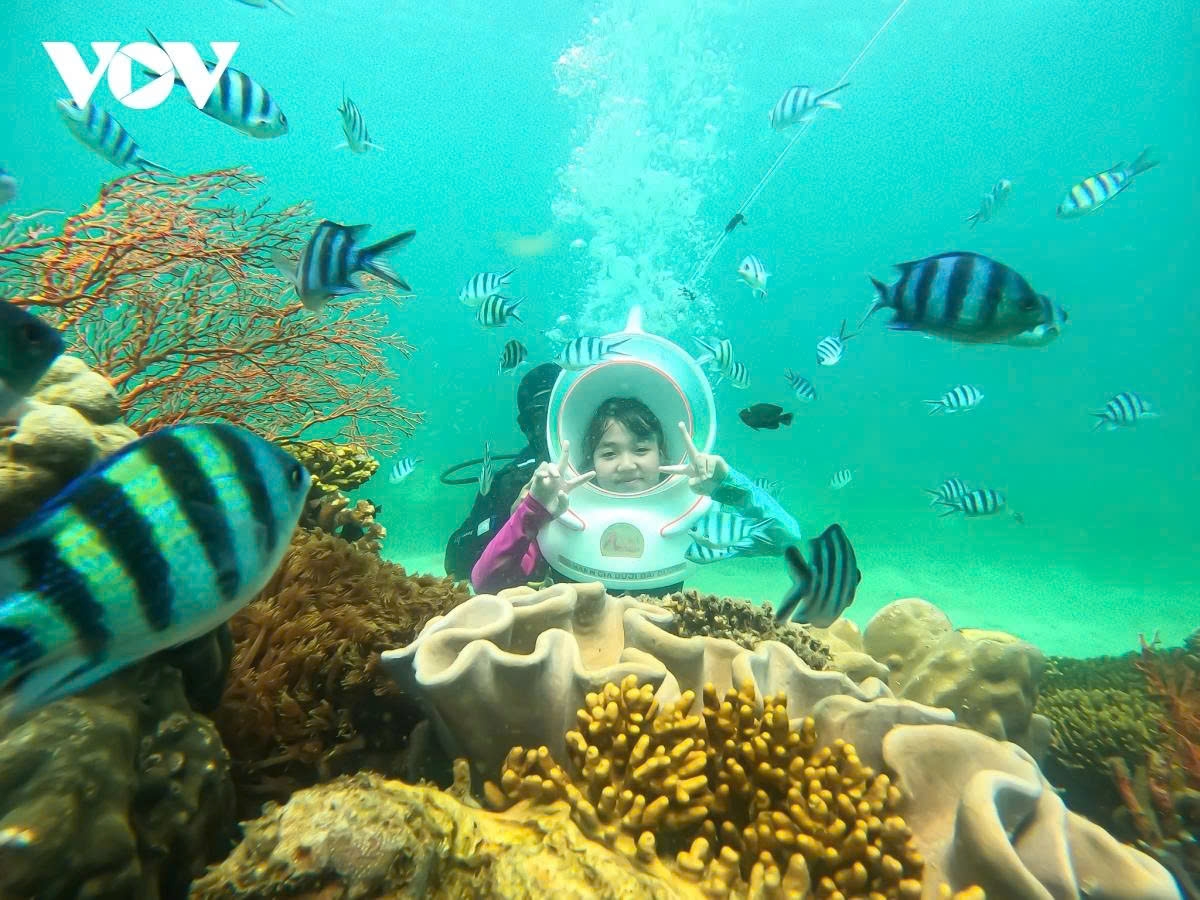 Diving in Nha Trang is seen as a favorite experience for international tourists
