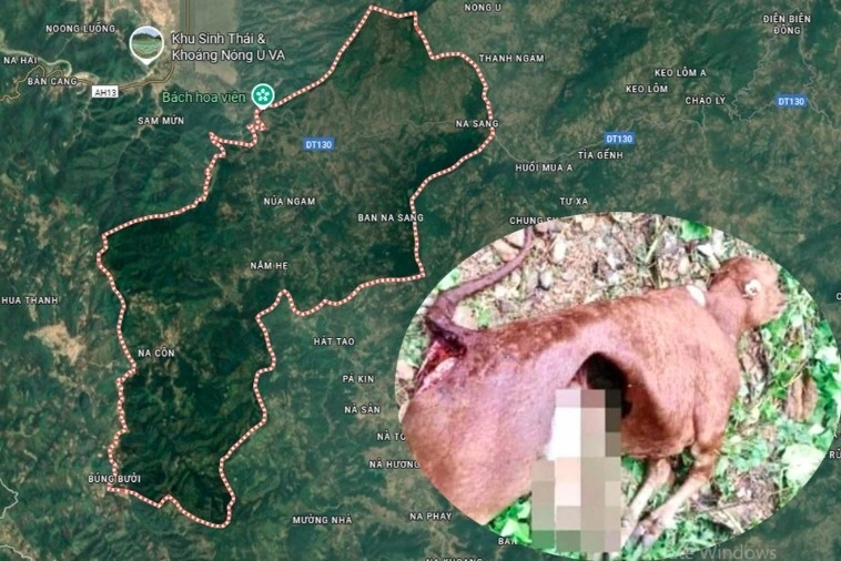 Xã Núa Ngam có nhiều diện tích rừng - nơi ẩn náu của đàn sói hoang. Ảnh: GoogleMap