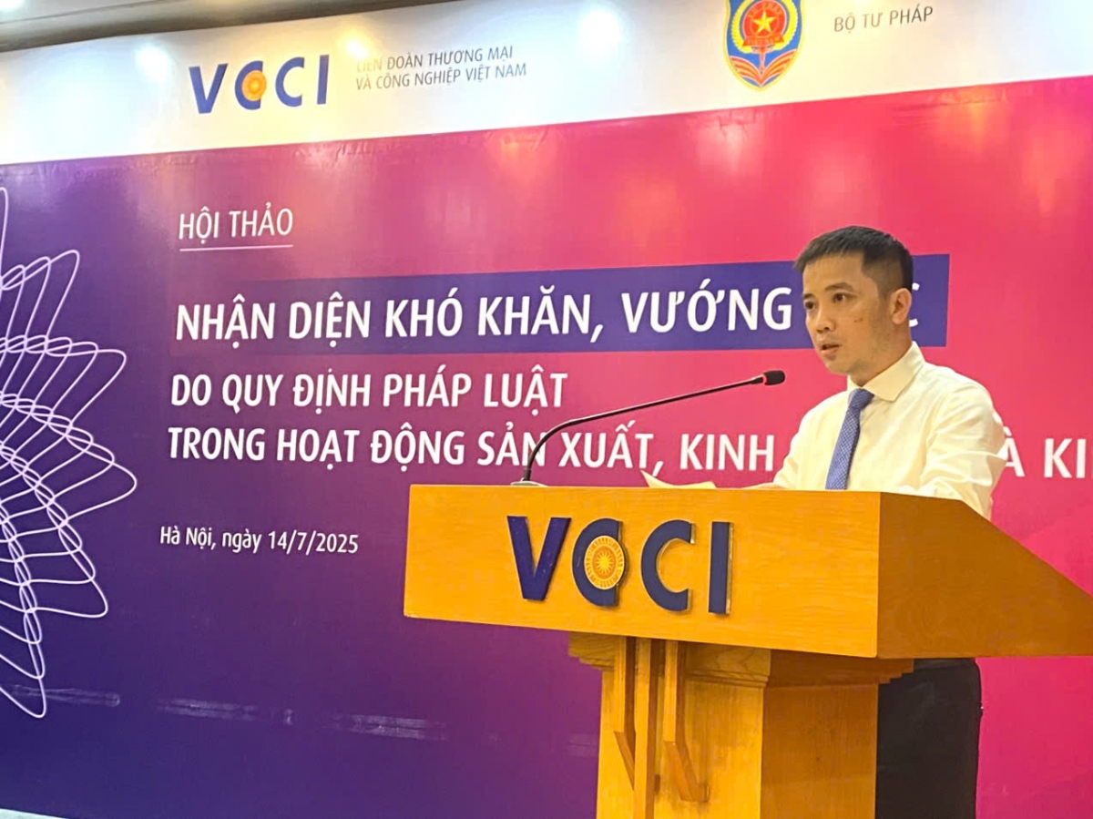 Phó Tổng Thư ký VCCI, ông Đậu Anh Tuấn phát biểu tại hội thảo