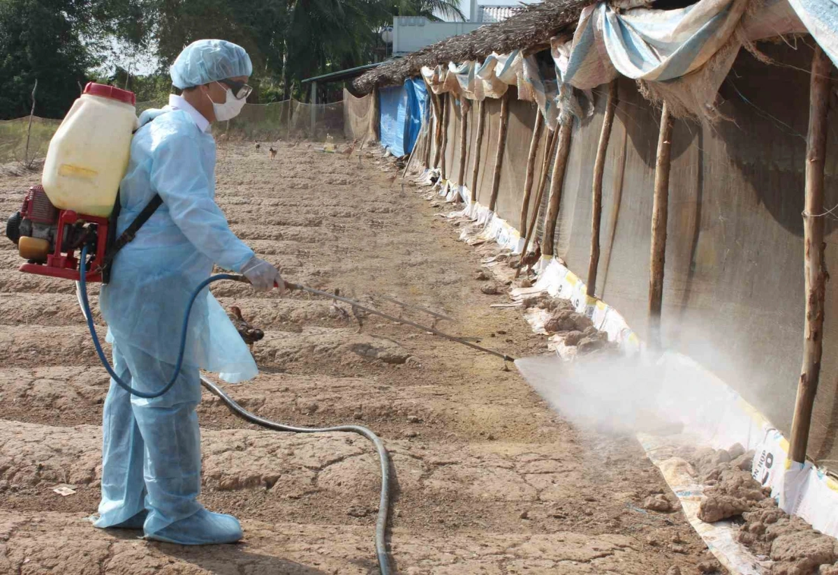 Chủ tịch UBND tỉnh Bắc Ninh Vương Quốc Tuấn yêu cầu tăng cường các biện pháp phòng, chống bệnh dịch tả lợn châu Phi. Ảnh: PV