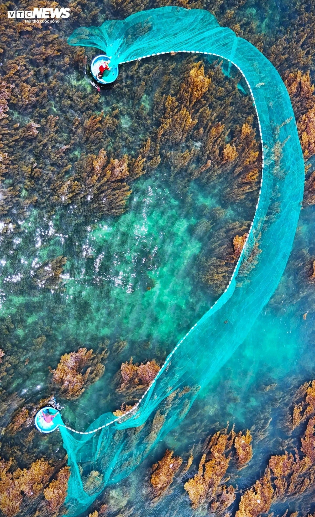 Visitors can join local fishermen as they cast their nets where seaweed weaves through each mesh, sometimes hiding tiny sea creatures like hidden treasures for those willing to engage with nature.