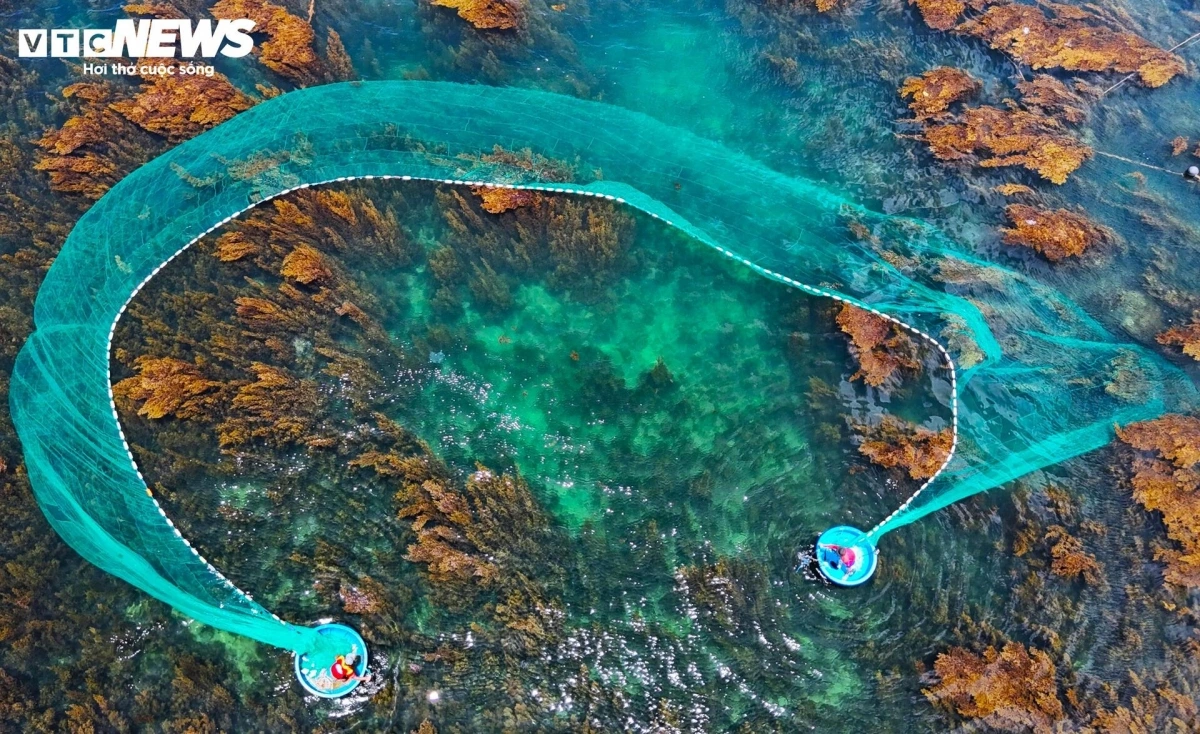 Seaweed is not just a visual delight; it is a gift from nature that supports both marine life and sustainable tourism.