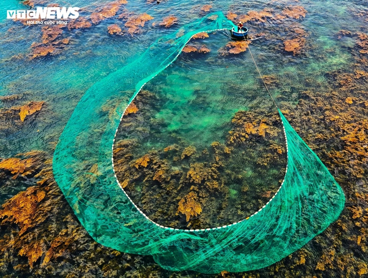 Local authorities and residents are highly aware of the need to preserve coral reefs and seaweed habitats, working together to protect the ecosystem for future generations.