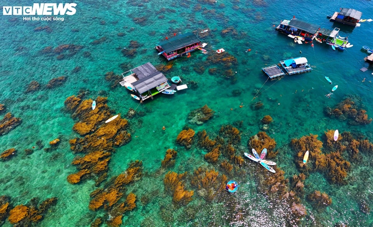 Exploring the seaweed season not only brings relaxation and fun but also gives visitors an opportunity to learn more about the life and culture of residents in the local fishing village.