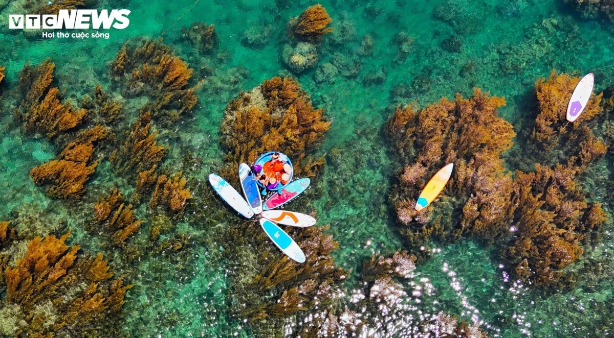 Viewed from above, these glowing strips form a striking visual contrast against the turquoise sea.