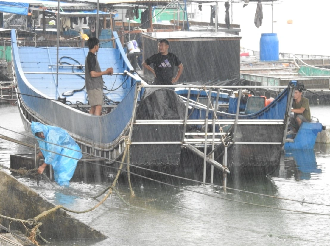 Quảng Ninh có mưa trên diện rộng từ trưa 21/7