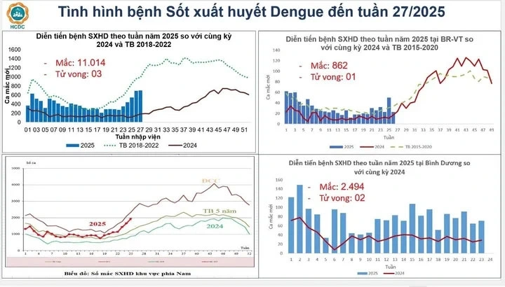 Sốt xuất huyết tăng mạnh tại TP.HCM giữa mùa mưa (Nguồn: HCDC)