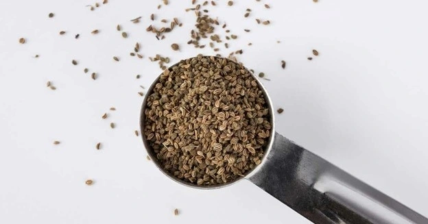Hạt cần tây nhỏ nhưng cực tốt cho sức khỏe. Ảnh: Healthline