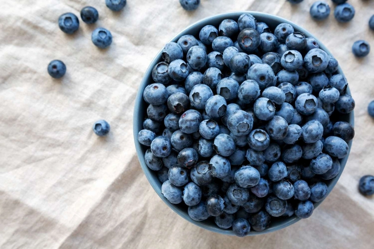 Quả việt quất hỗ trợ kiểm soát đường huyết. Ảnh: Martha Stewart