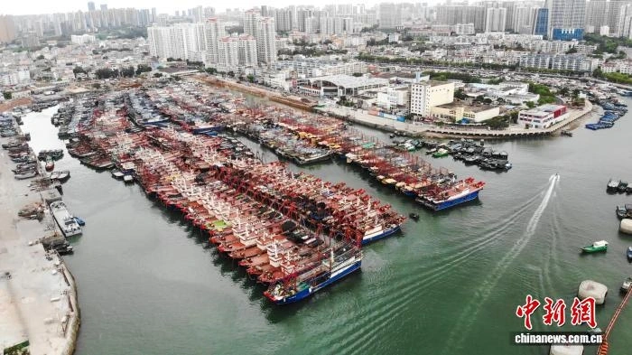 Tàu thuyền về nơi tránh trú tại Cảng cá Điện Kiến Bắc Hải, Quảng Tây. Ảnh: Chinanews