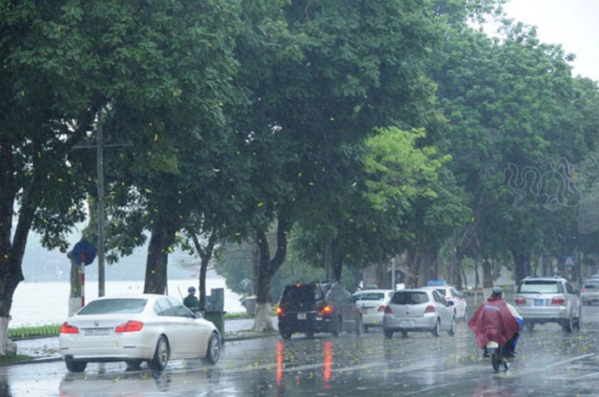 Bắc Bộ và từ Thanh Hóa đến Quảng Ngãi có mưa rào và dông