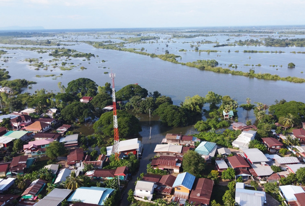 Nguồn: Bangkok Post