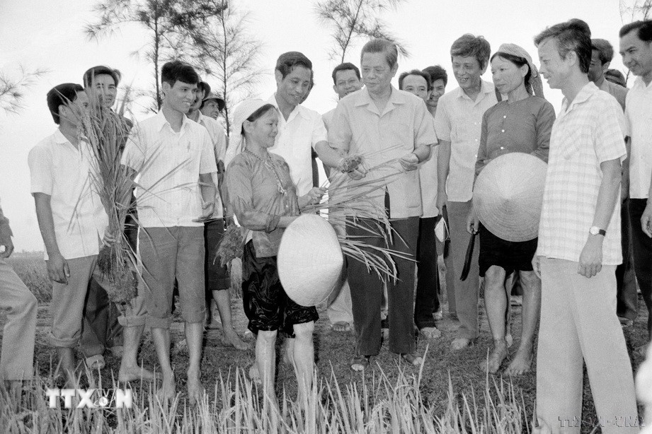Tổng Bí thư Nguyễn Văn Linh thăm cánh đồng lúa Hợp tác xã Hải Vân, huyện Hải Hậu trong chuyến thăm và làm việc tại tỉnh Hà Nam Ninh (25-29/5/1988). (Ảnh tư liệu: TTXVN)