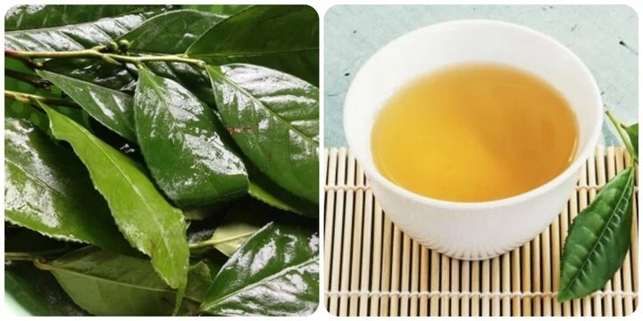 Nước chè xanh tốt cho sức khoẻ nhưng không phải ai cũng uống được