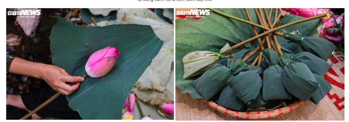Trà sen sấy nguyên bông đẹp mắt lại dễ bảo quản, tiện thưởng thức và đặc biệt là giá "mềm" hơn, đang dần trở thành lựa chọn của nhiều khách hàng.