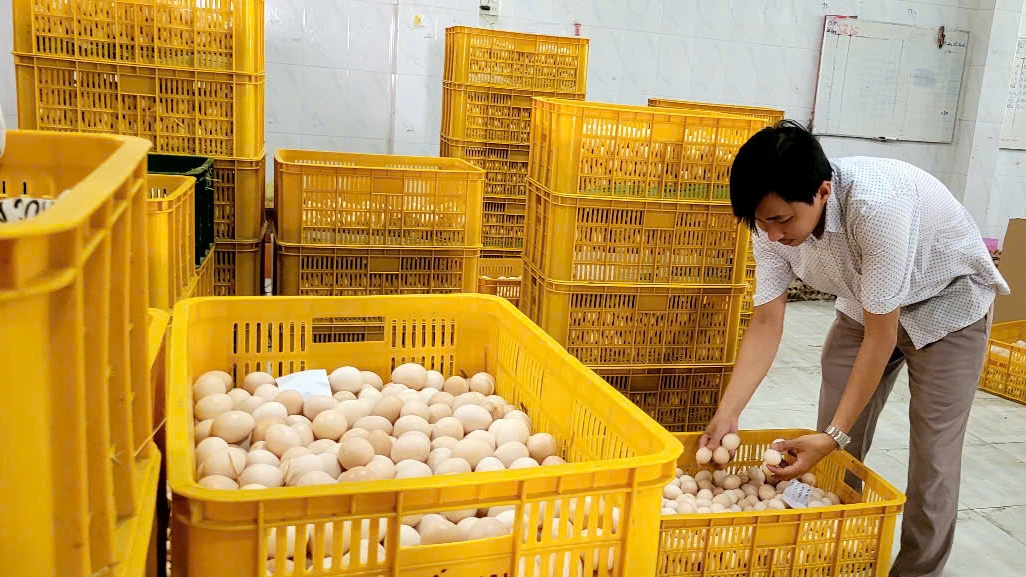 GDP quý 1 đạt 6,93% thì Quý 2 đã đạt tới 7,96.