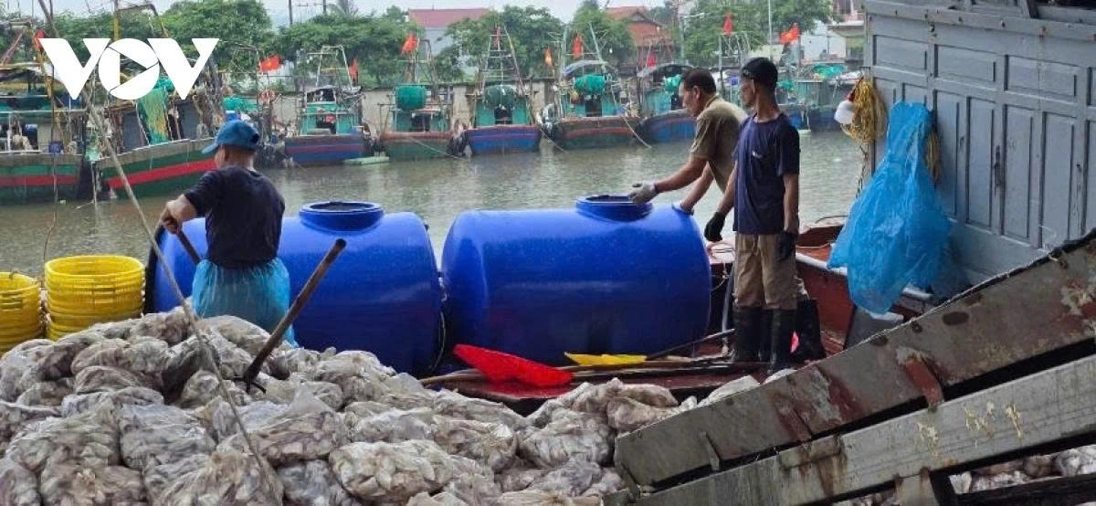 Hai Phong city plans to evacuate more than 19,700 residents from vulnerable areas ahead of Typhoon Wipha’s expected landfall, with the evacuation to be completed at 8:00 p.m. at the latest. 