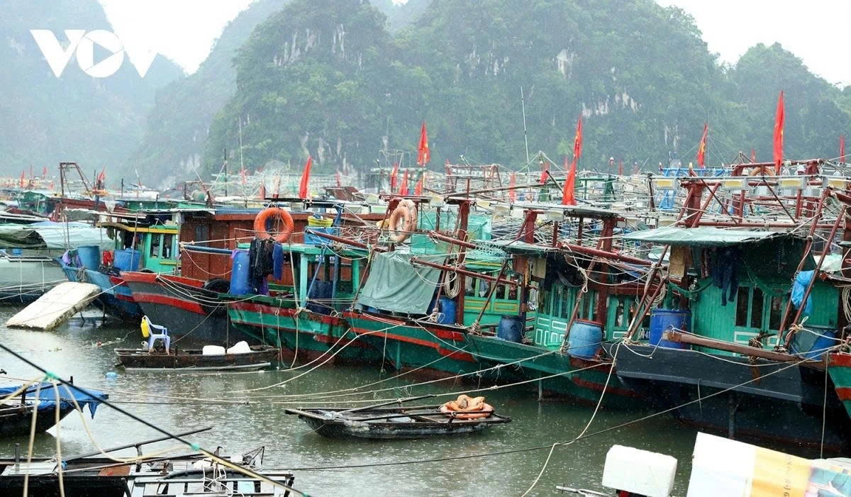 By 9 a.m. on July 21, at Cai Xa Cong anchorage area in former Ha Long city, there are about 200 vessels to come to take shelter. Quang Ninh has a total of more than 4,200 vessels, with 275 returning to safe shelters.