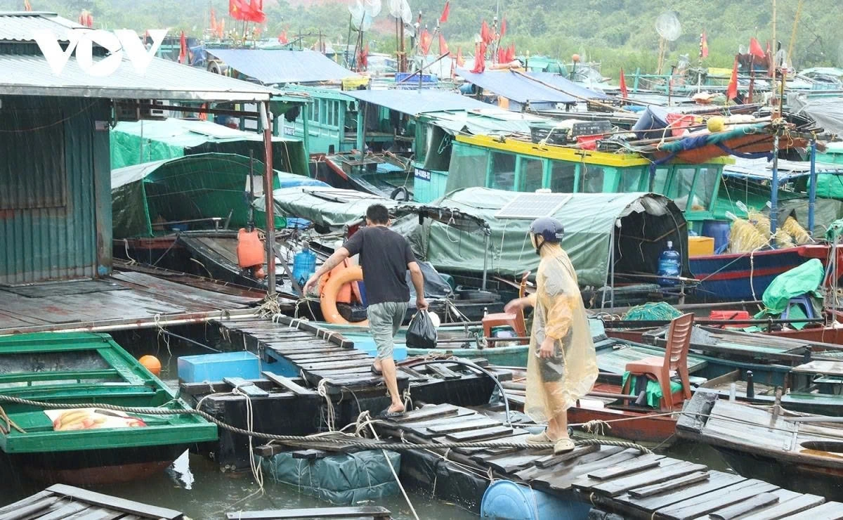 Many fishermen tie up their vessels and buy necessities. Learning from last year’s Typhoon Yagi, vessels have been anchored since July 20 morning.