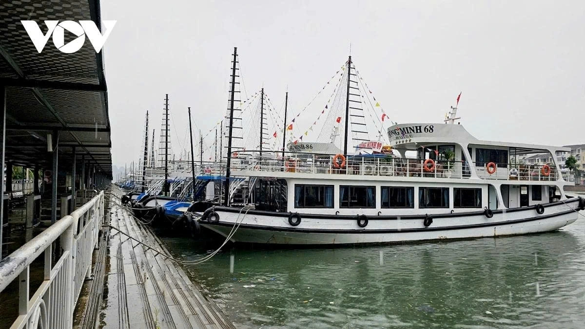 At Tuan Chau Port, nearly 130 cruise ships have been anchored. More than 100 passenger ships and 375 cruise ships have been informed about the typhoon and prepare to anchor at the port before July 21 evening.