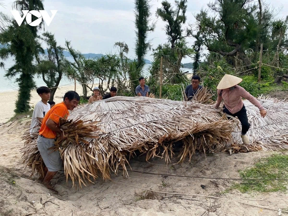 As Co To special zone is directly affected by the typhoon, local authorities have advised tourists to proactively return to the mainland. For tourists choosing to stay in the zone, the have instructed businesses to ensure their daily needs and safety are fully met during the  height of the storm. 