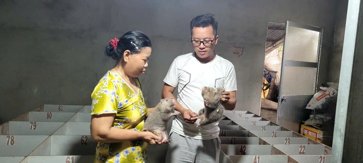 Anh Huỳnh Văn Hiếu đam mê mô hình nuôi dúi thương phẩm