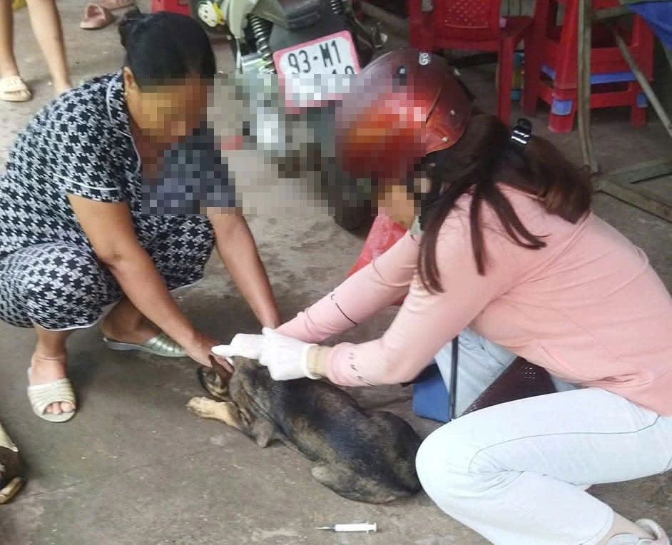 Người dân tiêm vắc xin phòng dại cho chó 