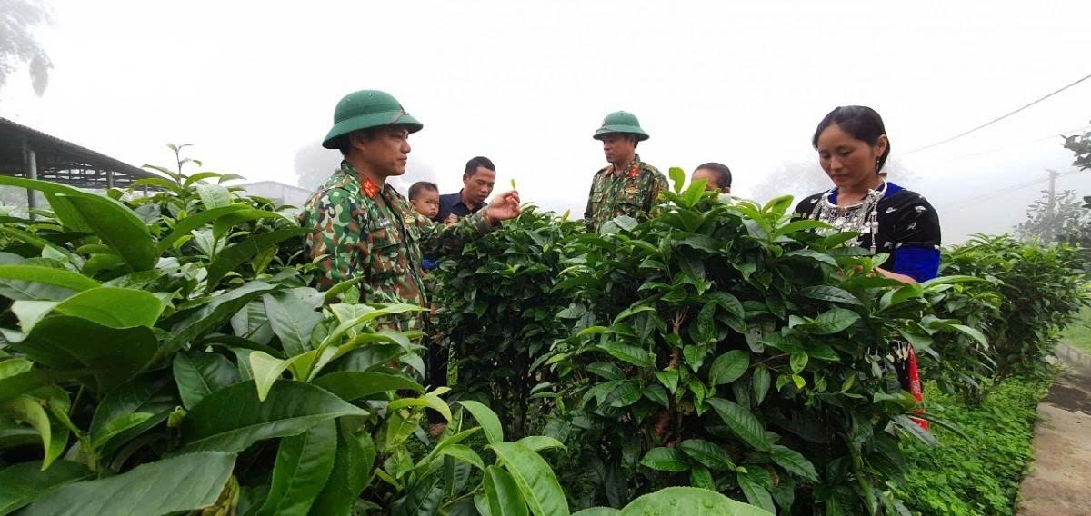 Hàng trăm hộ nghèo trên địa bàn được cán bộ, đảng viên Đoàn KTQP 4-Quân khu 4 nhận giúp đỡ và trực tiếp hướng dẫn phát triển kinh tế
