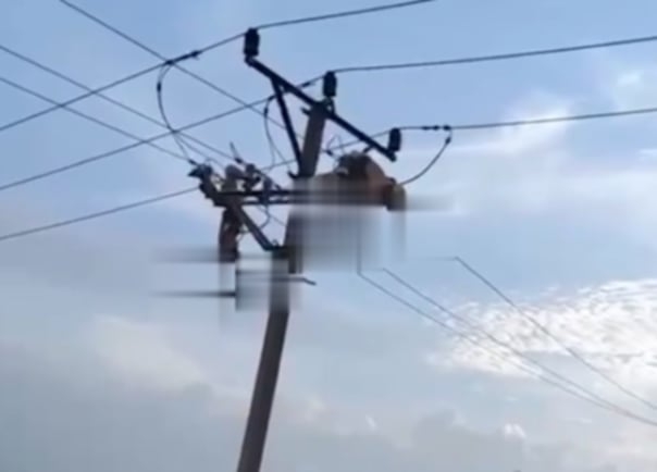 Hiện trường vụ việc