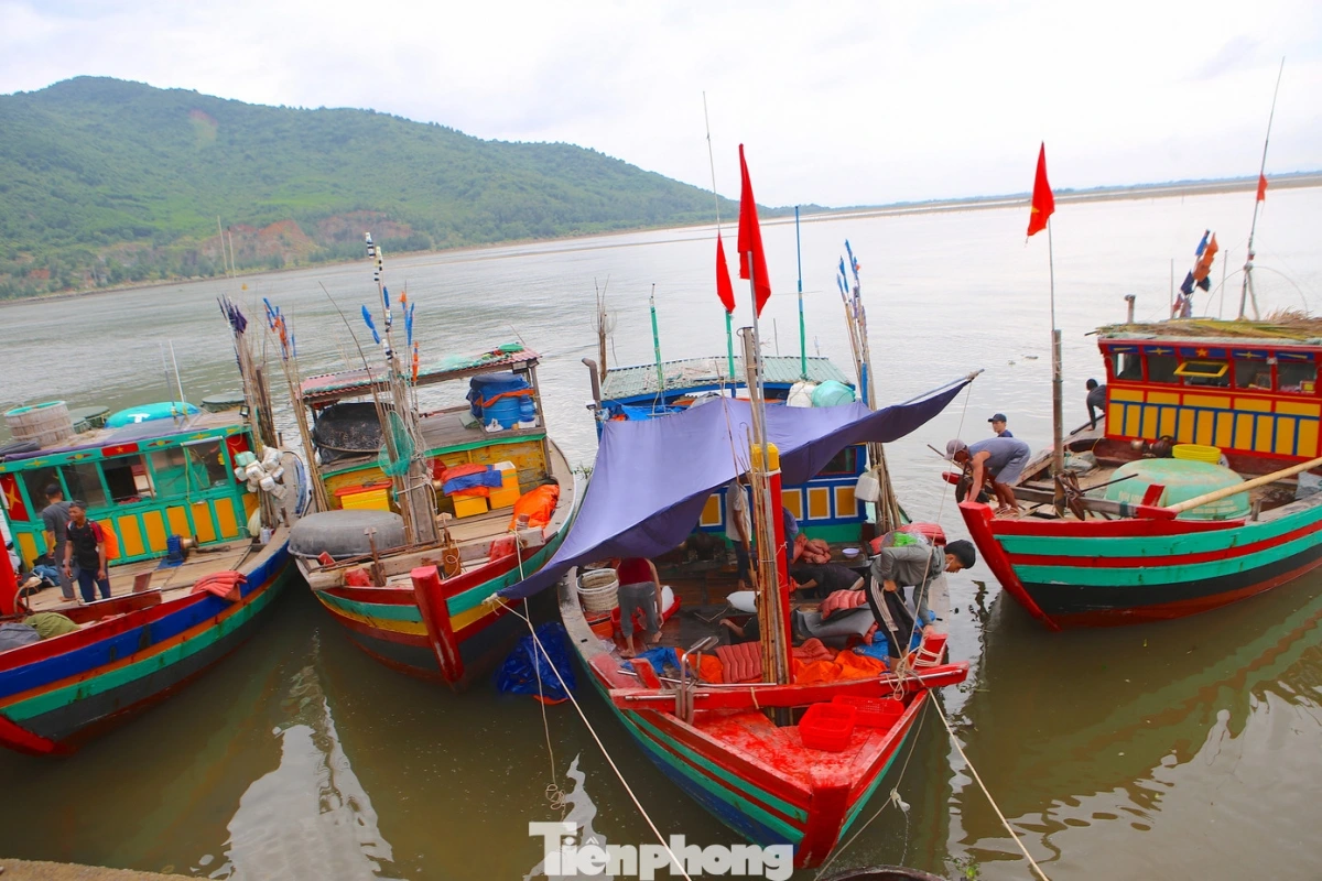 Trong số này, nhiều tàu thuyền trúng mẻ lớn, đem về hàng tấn hải sản sau chuyến đi biển kéo dài gần 1 tuần