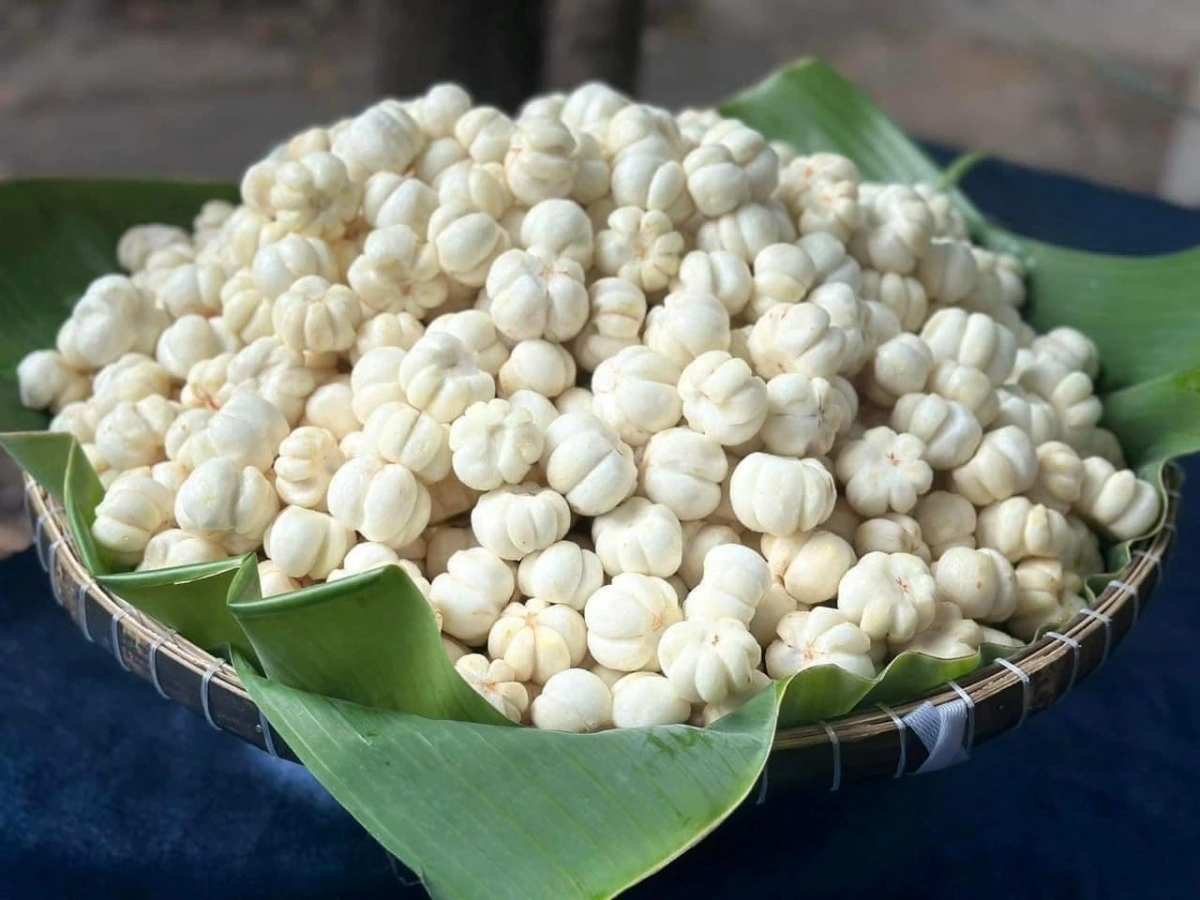 Măng cụt có nhiều lợi ích bất ngờ cho sức khỏe. Ảnh: Phương Thy Thy