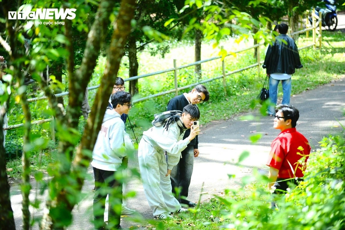 Today, the site has become a popular check-in spot for young people, attracting dozens, sometimes even hundreds, of visitors daily who come to explore and take photos.